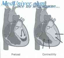 Regulácia srdcového výdaja. Starling mechanizmus