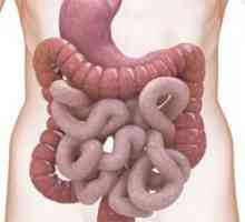 Sklerodermie a gastrointestinálny trakt