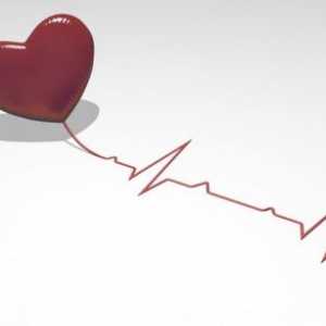 Kardio srdce, liečba, príznaky a príčiny